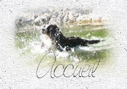 Accueil
